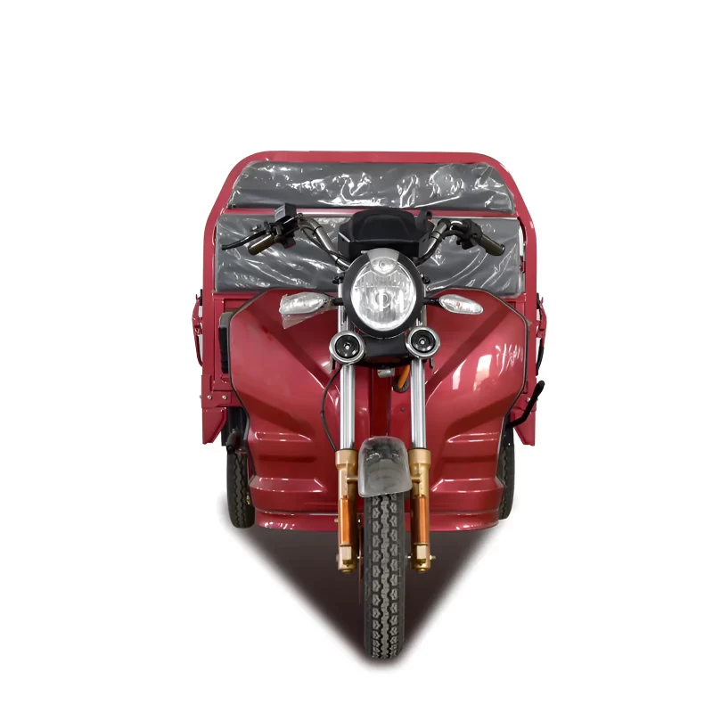 1000W 60V Cargo Use Electric Trike CN-EC-JBII130 - Image 2