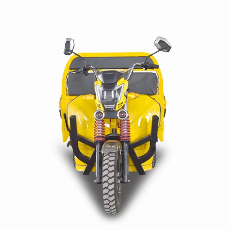 1000W 60V Electric Cargo Trike CN-DLS150A - Image 2