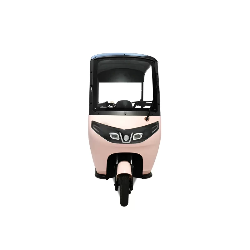 800W 60V Electric Tricycles For Sale With Roof CN-P2 - Image 2
