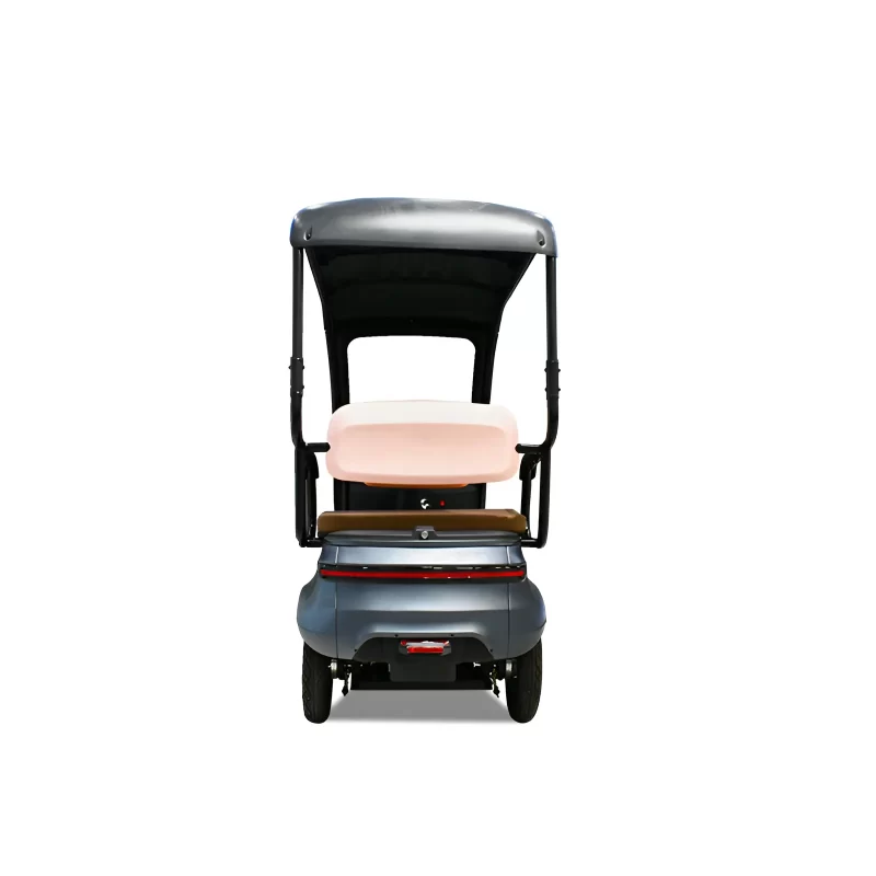 800W 60V Electric Tricycles For Sale With Roof CN-P2 - Image 4