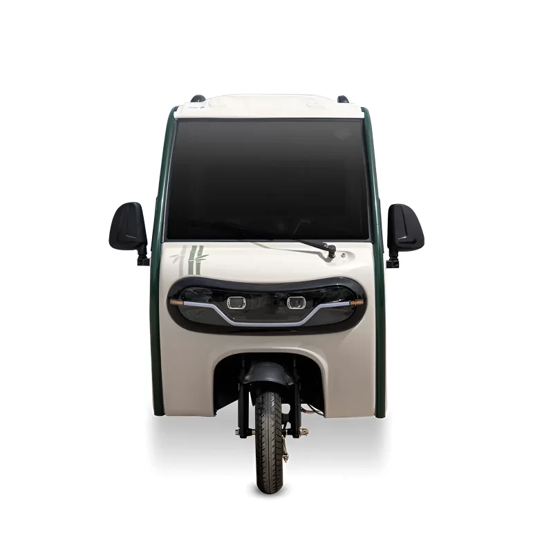 1000W 60V Electric Trike For Adults CN-DQ - 画像 (2)
