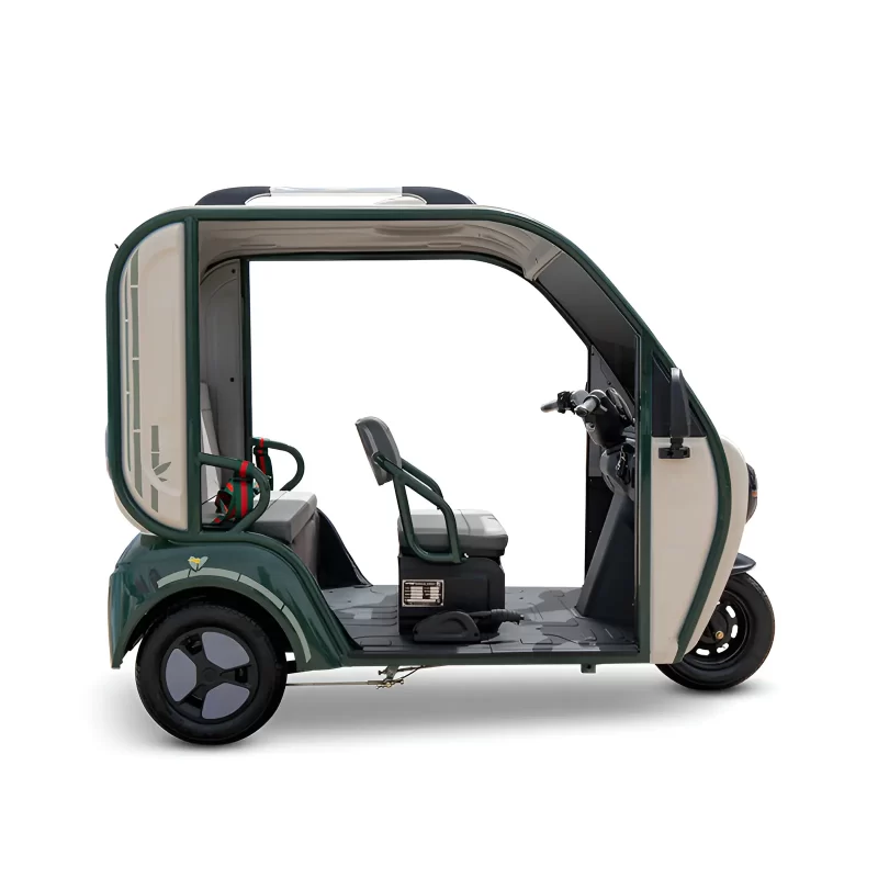 1000W 60V Electric Trike For Adults CN-DQ - 画像 (4)