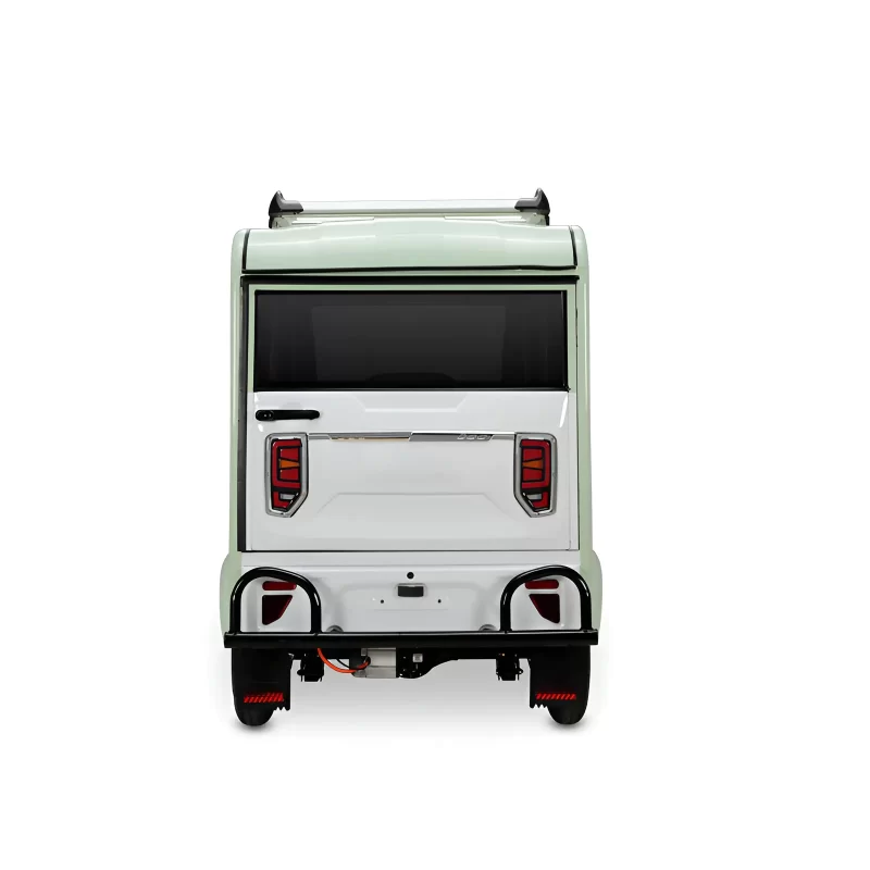 1000W 60V Electric Trikes For Seniors CN-XT - Image 4