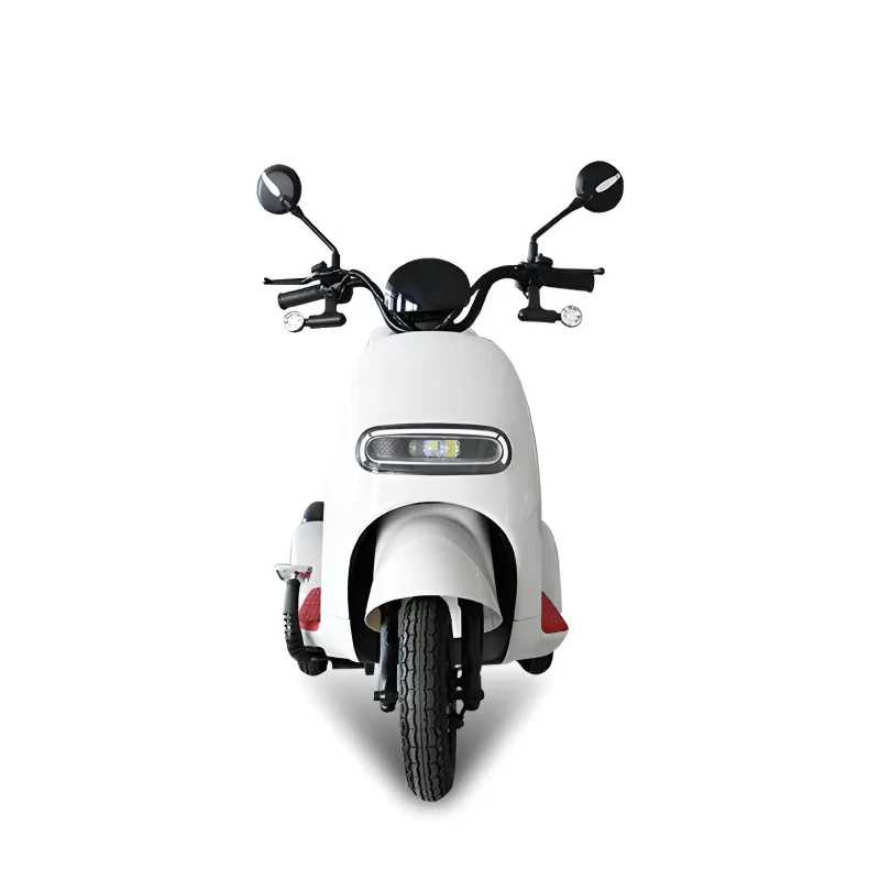 650W 48V/60V Young Electric Trike Adult CN-YULI - Image 2